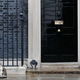 Illustration for article titled Theresa May didnt want her resignation upstaged by the real star of British politics, Larry The Cat
